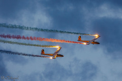 JW254431