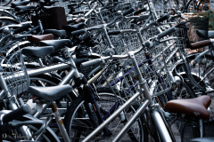Crowded Bicycles