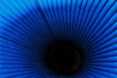 IMG_20250822_101511-01-scaled