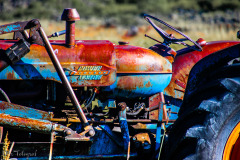 Detail of abandoned Ford Tractor