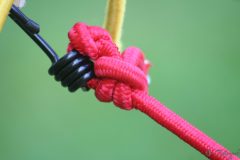 IMG_9811-scaled