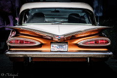 THe Wings