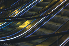 Night Lights