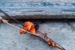 Remainings of Autumn