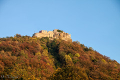 Burgruine Hohenneuffen im Herbst. Von Neuffen aus