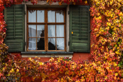 Goldener Herbst