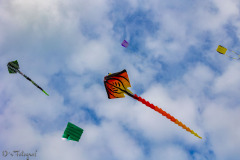 Drachen über dem Meer