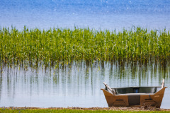 Tranquility