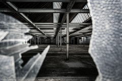 Looking through Broken Glass I