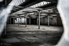 Looking through Broken Glass II