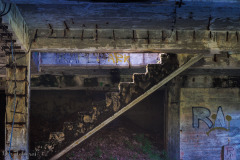 TReppe ins Licht