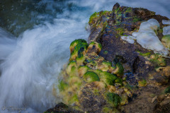 Farben der Natur