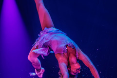 Flight of Passion