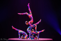 Mongolian Contortion