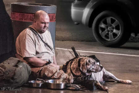 Ein Mann sitzt auf dem Boden in einer urbanen Umgebung, neben ihm liegt ein Hund mit einem Geschirr. Vor ihnen stehen mehrere Futterschalen. Die Szene wirkt nachdenklich und emotional. Im Hintergrund ist ein Mülleimer und ein Auto zu sehen.