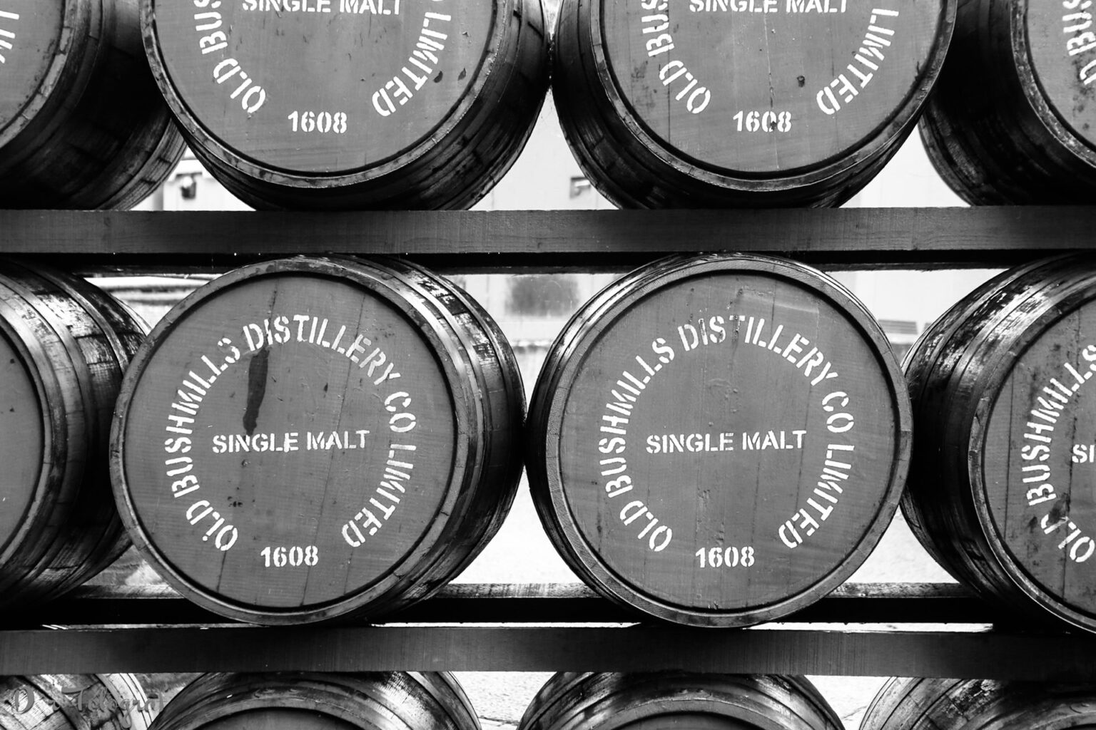 Das Schwarzweißbild zeigt mehrere Reihen von Holfässern, die horizontal auf Regalzwischenbrettern liegen. Die mittlere Reihe zeigt zwei vollständige Fässer in der Mitte (rechts und links die Fässer sind im Foto angeschnitten)
Die obere Reihe zeigt die Fässer im Bild nur zu zwei Dritteln, das obere Drittel ist vom Bildausschnitt abgeschnitten. Die untere Reihe ist nur andeutungsweise sichtbar. Auf den Fässerdeckeln steht im Rund des Deckels "OLD BUSHMILLS DISTILLERY CO LIMITED"
Unten waagerecht die Zahl "1608"
In der Mitte des Deckels waagerecht "SINGLE MALT"